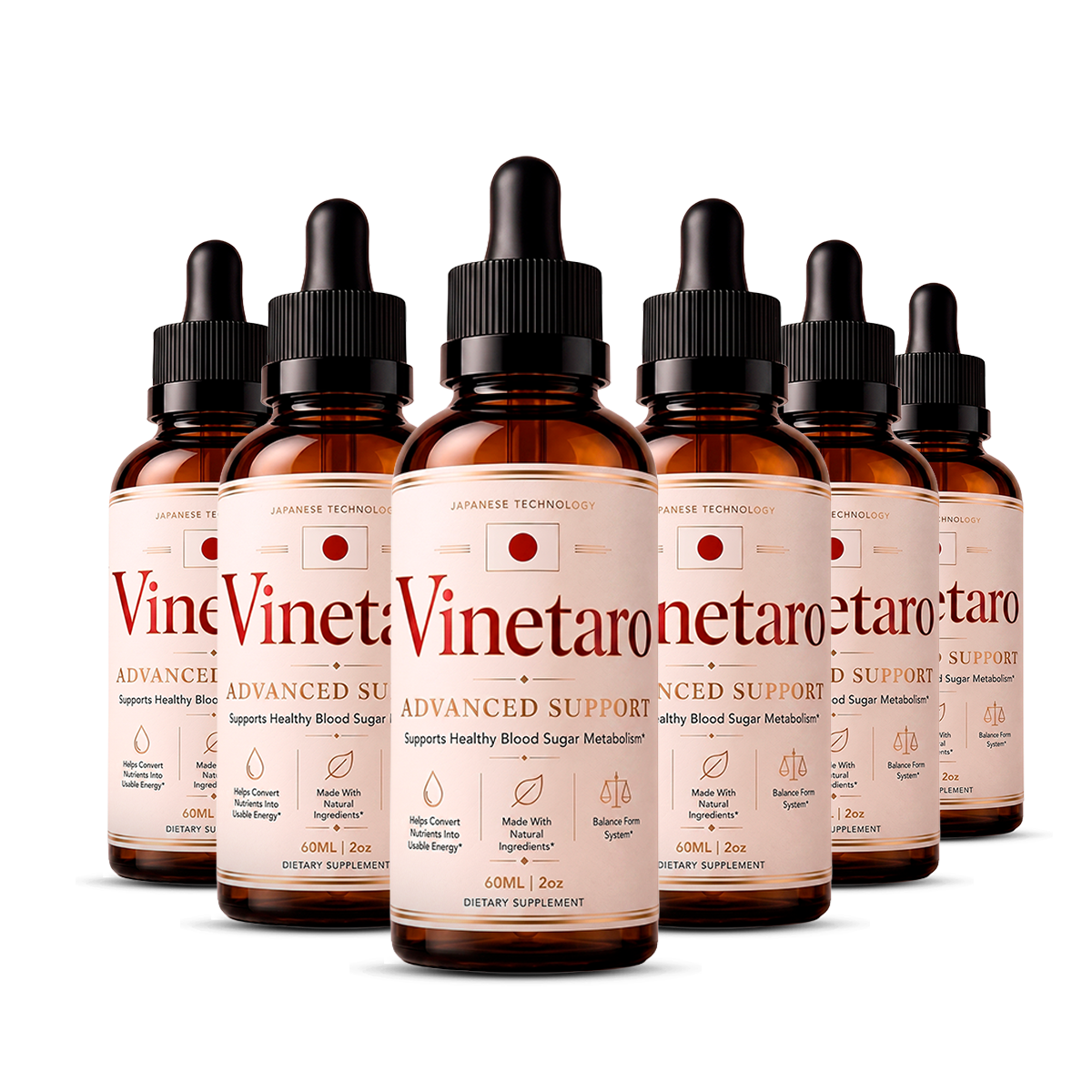 6 Vinetaro Bottles